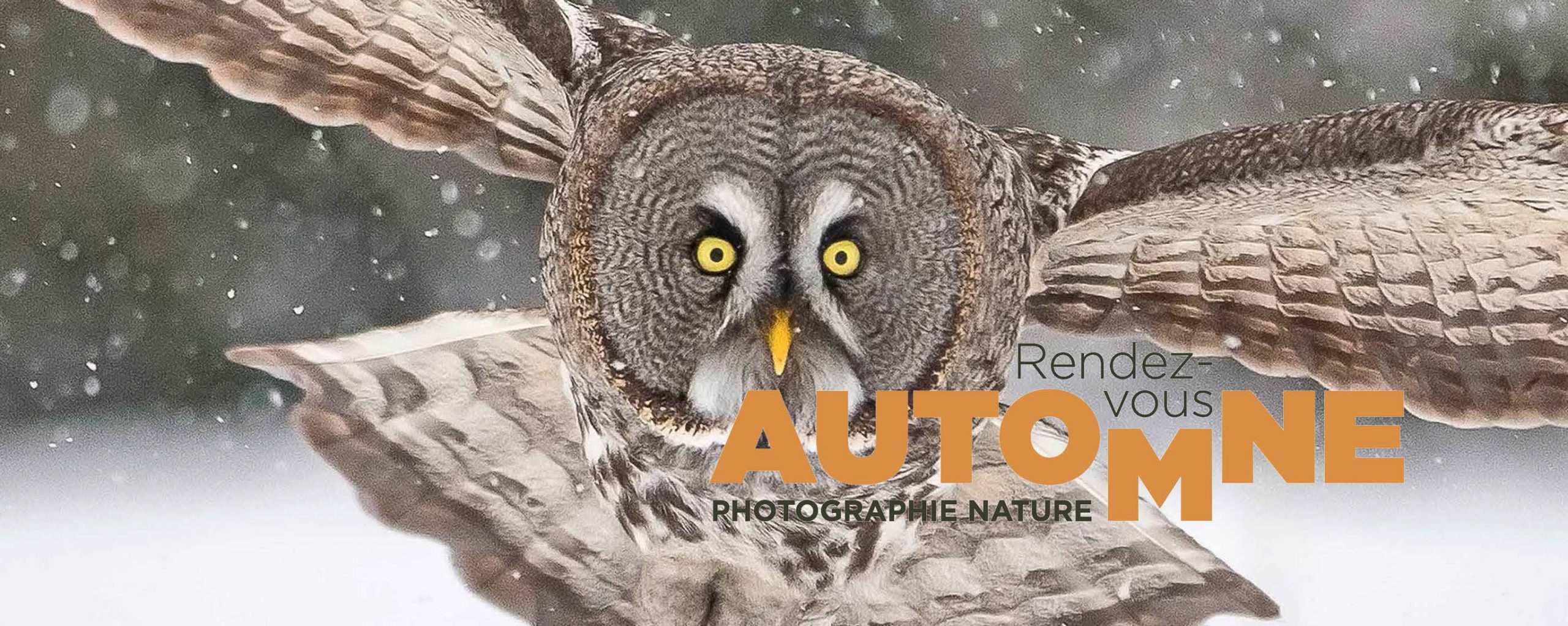 facebook 1 facebook 1